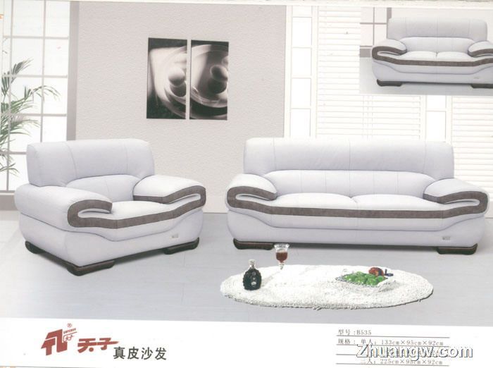 天子沙發家具圖片(九) 匠心工藝，盡顯客廳典雅風范